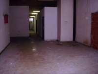 50_tv00001.jpg