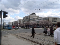50_tv00017.jpg
