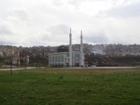 50_tv00019.jpg