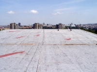 50_tv00029.jpg