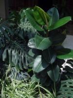 50_tv00037.jpg