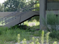 50_tv00071.jpg