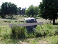 50_tv00078.jpg